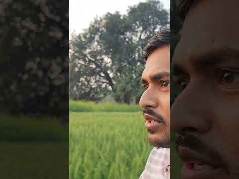 #shorts #firstvideo my short vlog