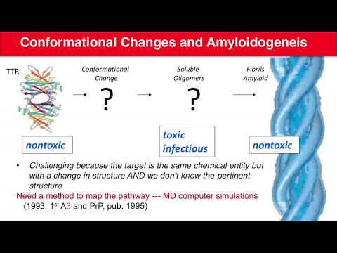 Shedding light on conformational changes during amyloidogenesis