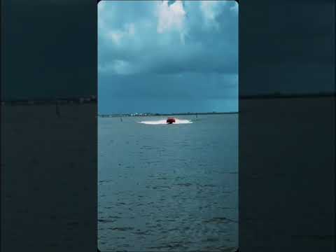 A unique species is approaching the shore...