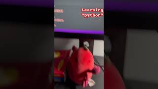 I got bored I’m sorry #python #memes #coding