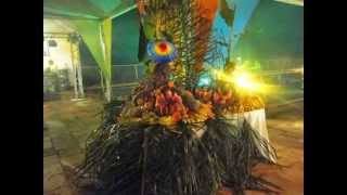 BAILE DO HAWAI EM PIRASSUNUNGA - SP - CSSGAP - AFA