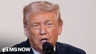 'This is who Trump is': Eugene Daniels reacts to post with racist depiction of Obamas