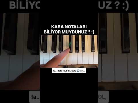 KARA NOTALARI BİLİYOR MUYDUNUZ (!) #mizah #müzik #piyano