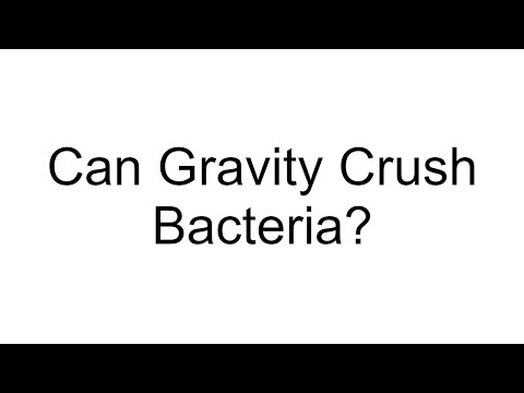 Can Bacteria Survive Extreme Gravity?
