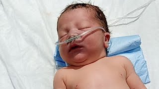 Everything About NICU Care: Health, Treatment & Daily Life”
