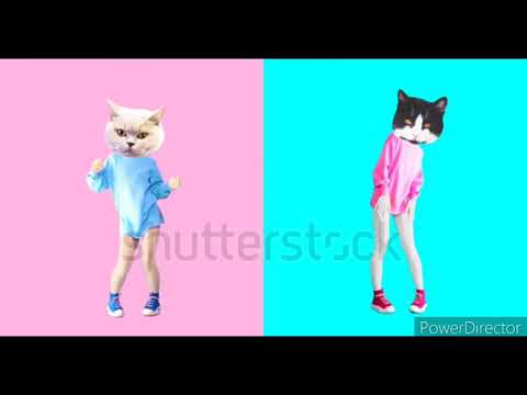 Cartoon Dance Video||Cat Dance||Funny Video #cartoonworld#cartoon
