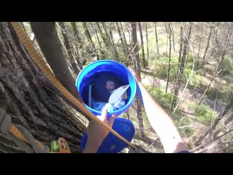 Treestuff Tree-o-cache Tree #13