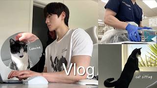 일주일간 집사 된 썰 | 미국 치대생 브이로그 dental student vlog | 고양이랑 정신없는 클리닉 [kor/eng]