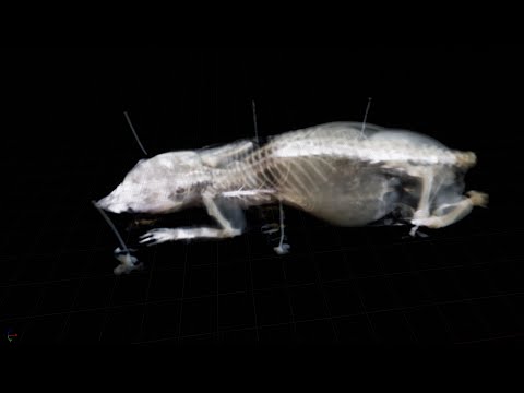 Fun with ray marching