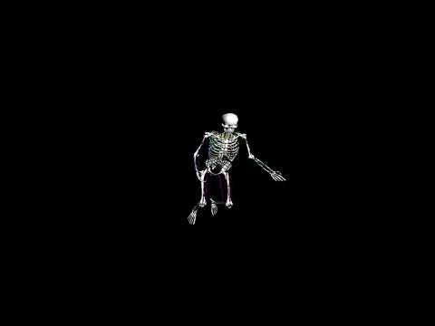 Biomechanical Human Simulation: Soccer Kick