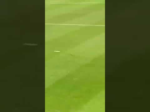 Jermaine Defoe returns for Sunderland