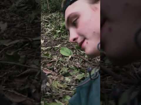 Nat Geo Wild || Part 1