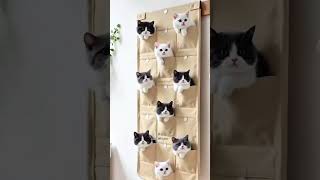 AIGC #ai #edit #aigc #3d #animation #ie3d #kitten #cutecat #cute #animation