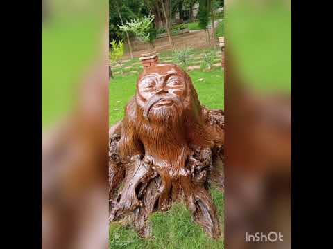 best nature video || man mast magan ||  #shorts #whatsappstatus #ytshortsindia