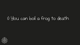 8 Animal Misconceptions Rundown