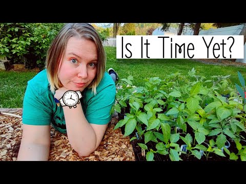 Impatiently Waiting to Plant and Small Garden Update