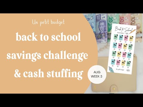 Cash Stuffing August 2023 Week 3 | Canadian Cash Stuffing | Back to School Savings