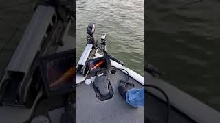 Pedal operation on the Livescanner setup