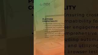 Navigating Web Development Challenges l Zinfytech Web solutions