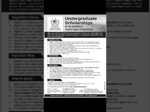 undergraduate scholarship program ( @GWHAMZA )