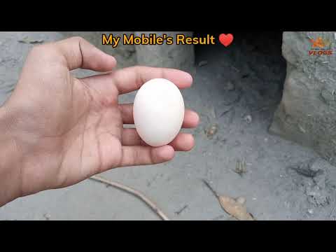 Village Desi Video || Desi Mahol In Village