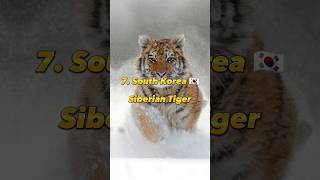 Top 10 Different Asian Countries National Animals