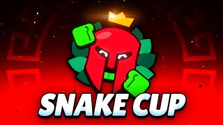 My Last Tournament (Matcherino)