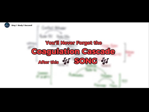 Coagulation Cascade Explained EASY 🩸 | Intrinsic vs Extrinsic Pathway Song