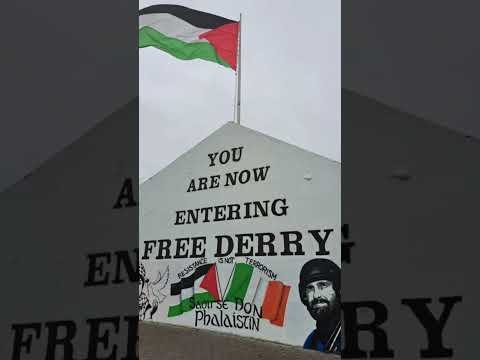 #freepalestine #freegaza #palestine #stopthegenocide  #palestinewillbefree #fromtherivertothesea