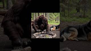 #artificialintelligence #ai #AINews #AIRevolution #AI2025 #GenerativeAI #AIInnovation #AIApplication