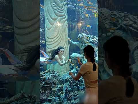 Beautiful Mermaid ||#shorts #trending #viral ||