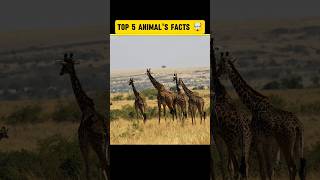 5 Animal Facts That Science Proves 🐾 | Amazing Facts #shorts #animalfacts