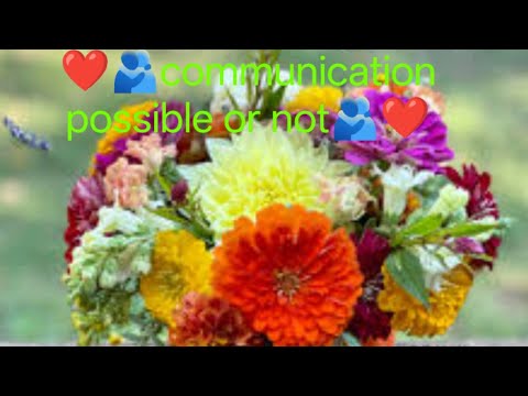 Communication possible or not#inspiration#love#tarotreader#motivational#divine#soul#healing#anmeegam