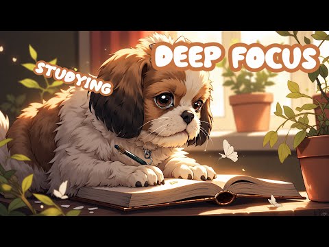 🎵 LoFi Study & Work Music | Focus Without Distractions | Deep Focus Music
