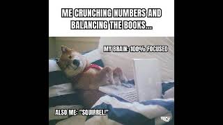 Multitasking at its finest 📈🐿️