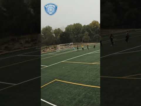 This team didn't learn their lesson #assist #passtheball #teammwork