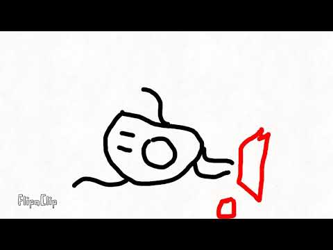 La poción (ingles)