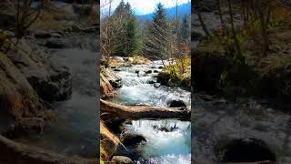 Clarity Starts Here 🌄 #ClarityOfMind #QuickFocus #FocusBoost