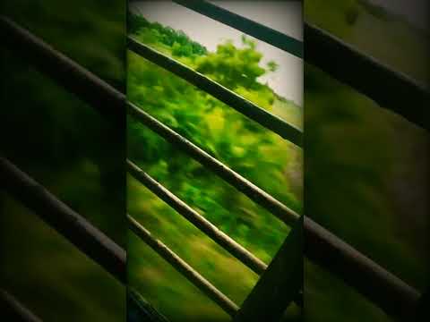 Train traveling 🌟 - the life of ram - whatsapp status #traintravel #thelifeofram #trainjourney