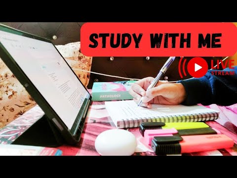 3-HOUR STUDY WITH ME   | fire crackling sounds 🔥| pomodoro 90/10 min