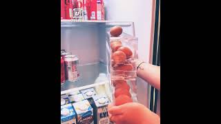 Gadgets for eggs for everyhome |#gadgetstecnologi#coolgadgets2024 an honest review of its performanc