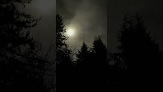 Cloudy Night Timelapse.           #music #ambient #autumntree #lofi #timelapse