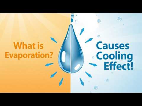Why Does Evaporation Cause Cooling? Simple Chemistry Explanation