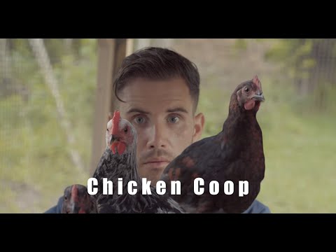 Chicken Coop