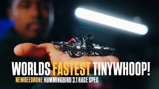 Worlds Fastest Tinywhoop! - NewBeeDrone Hummingbird 3.1 Race Spec
