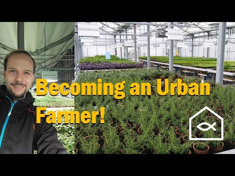 Building a Rooftop Farm in Germany: How I Became an Urban Gardener!