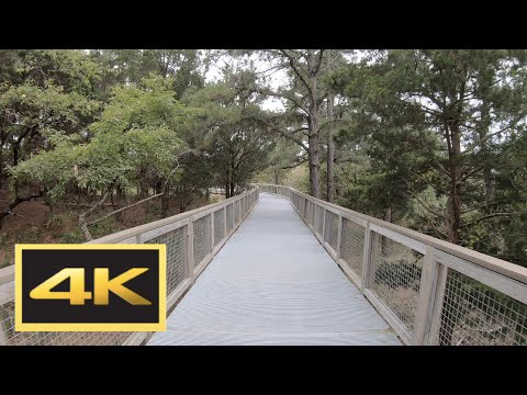 Cape Henlopen State Park and Gordon's Pond Bike Tour in 4K -- Rehoboth Beach, Delaware
