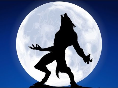 DOGMAN ENCOUNTERS  WITH RICARDO SANCHEZ  EP16