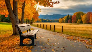 Relaxing classical music:   Beethoven, Mozart, Bach, Chopin, Vivaldi ... 🎹🎹