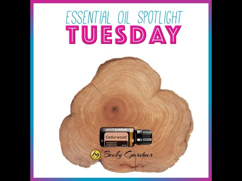 Essential Oil Spotlight Tuesday: Cedarwood